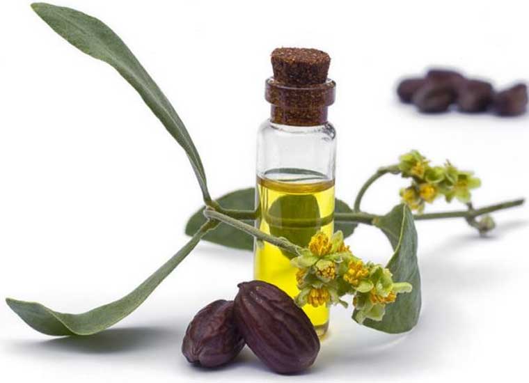 jojoba oil